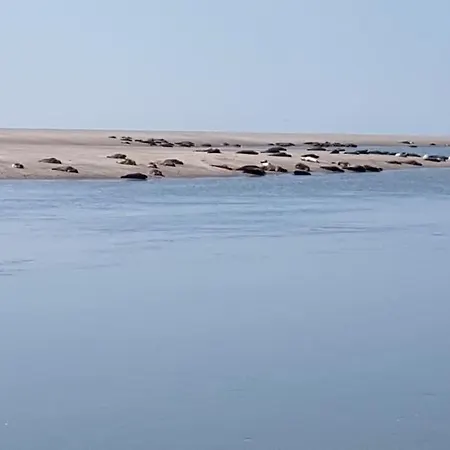 Maison Berckoise Belle époque - Et Centre * Berck