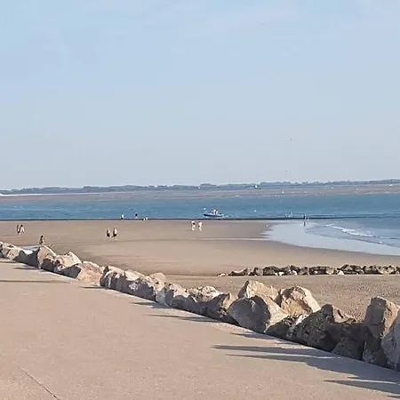 Maison Berckoise Belle époque - Et Centre