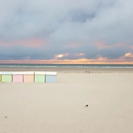 Maison Berckoise Belle époque - Et Centre * Berck