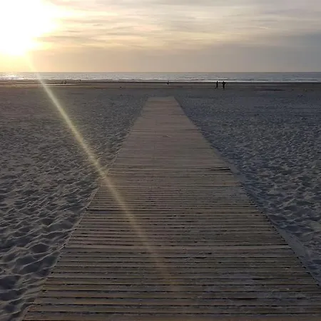 Maison Berckoise Belle Epoque - Et Centre *